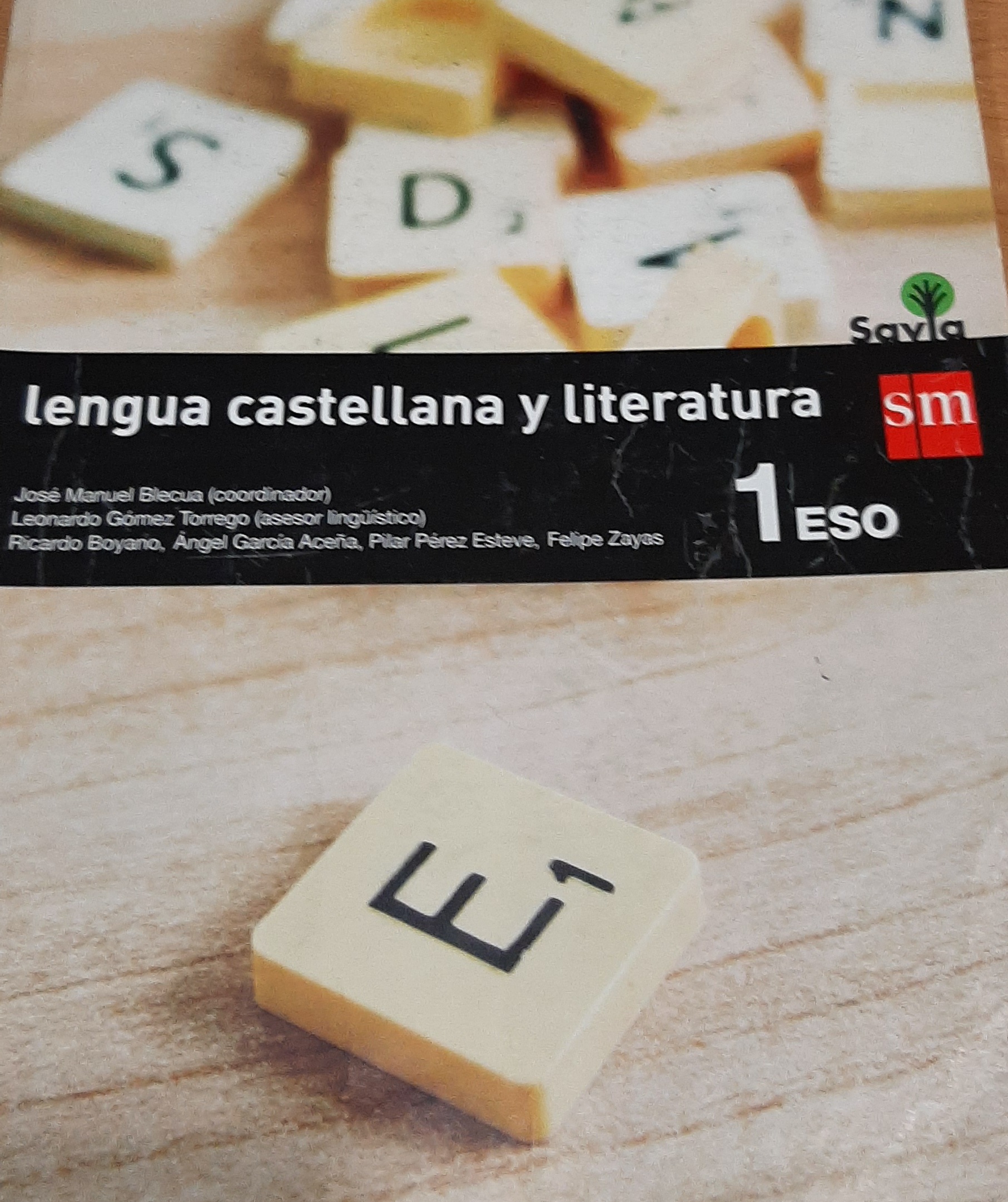 Lengua castellana y literatura 1º E.S.O
